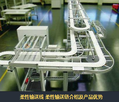 環形輸送機有什么特點？